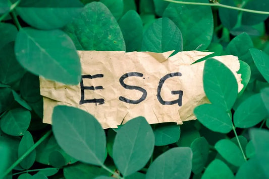 ESG Venture Capital: Driving Sustainable Investments Uber Finance