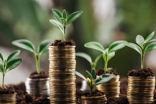 The Role of Carbon Credits in Green Finance: Promoting Sustainable Practices - Uber Finance