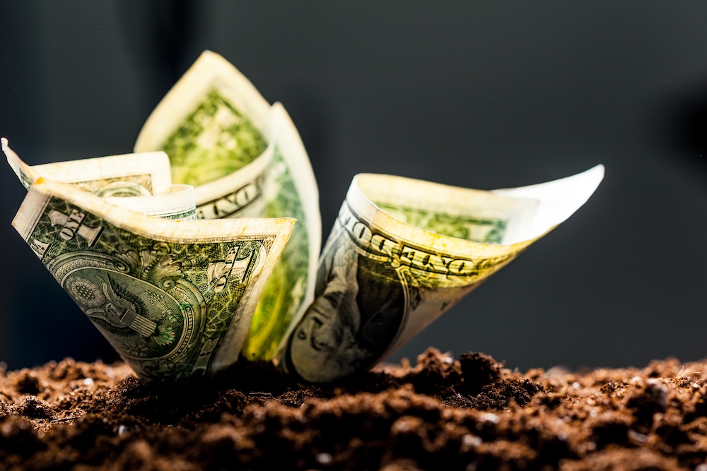 US dollars growing from dirt