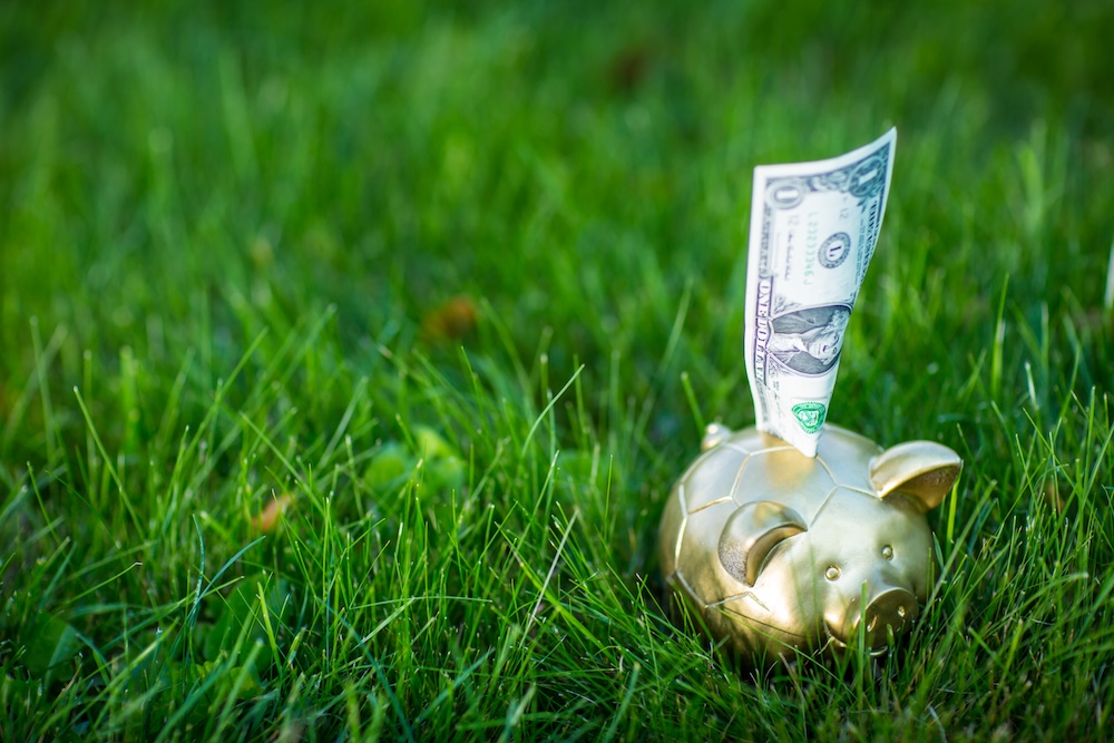 A gold piggy bank in the grass with a dollar bill coming out of the top