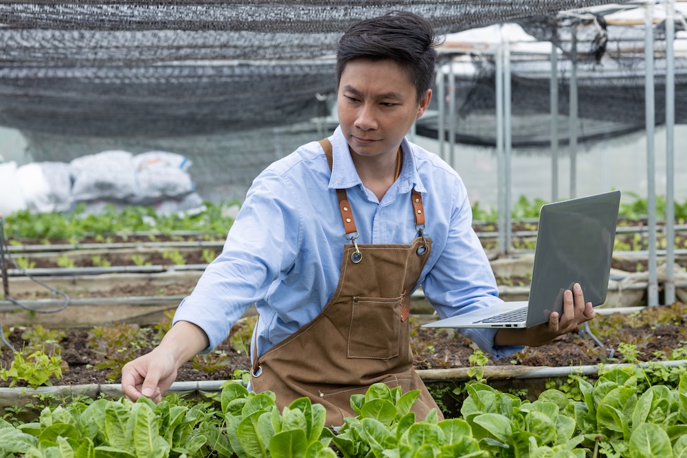 Farmer using technology on laptop