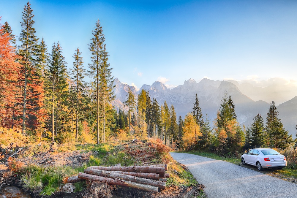 Car on side of the road in a forest