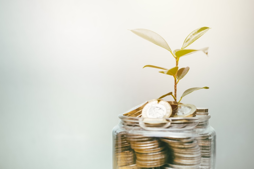 Jar full of coins with sprouted plant on top