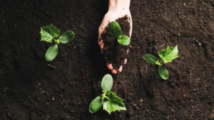 A Path to Environmental Responsibility and Financial Returns Uber Finance