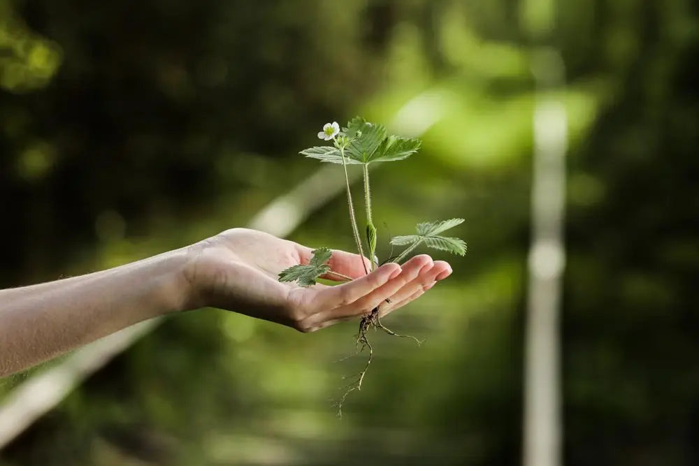 ESG Reports: Unlocking Sustainable Investment Opportunities Uber Finance