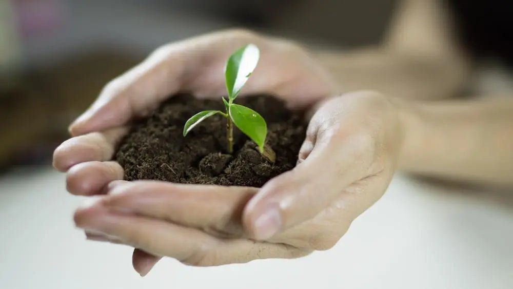 Green Finance Strategies Help SMEs Promote Sustainability Uber Finance