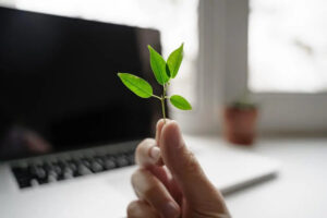 Maximizing Returns with Low-Carbon Investment Strategies Uber Finance