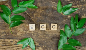 The Rising Importance of ESG in Investment Decision-Making Uber Finance