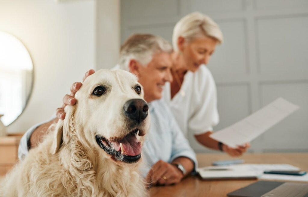 Pets Covered: Unraveling the Intricacies of Pet Insurance - Uber Finance